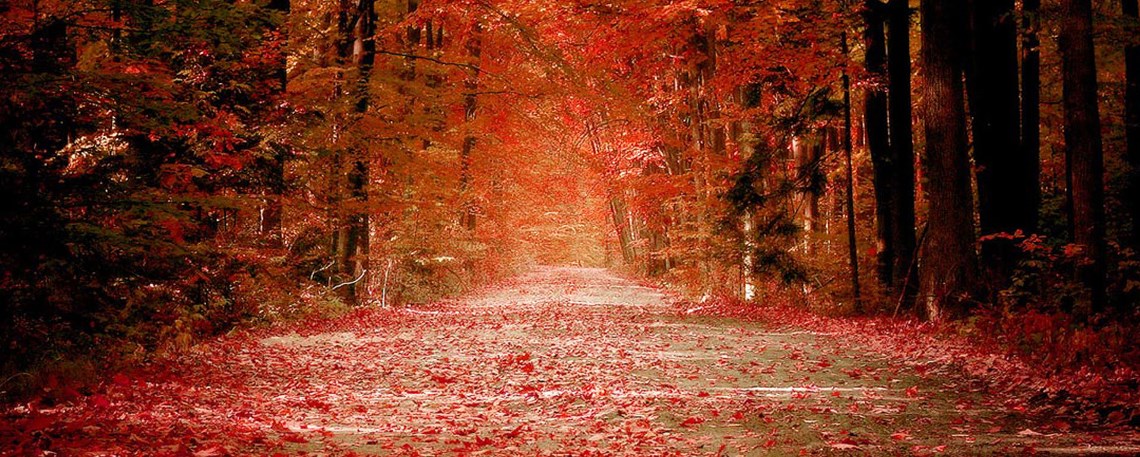 This coming Sunday*Histon Baptist Church